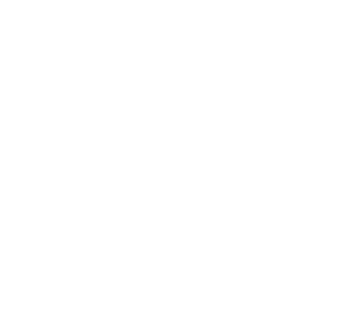 SNAMI